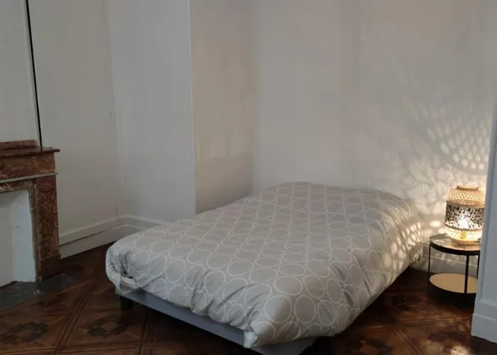 公寓 6 - T2 60m2 - Standing, Moderne Et Equipe - Carmes-renforts , 圖盧茲